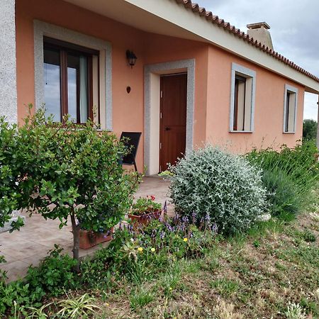 Agriturismo Gli Olivastri -Appartamento Bel Vedere Con Piscina ,Solarium E Vista Mare,Climatizzatore ,Wifi Aglientu Zewnętrze zdjęcie