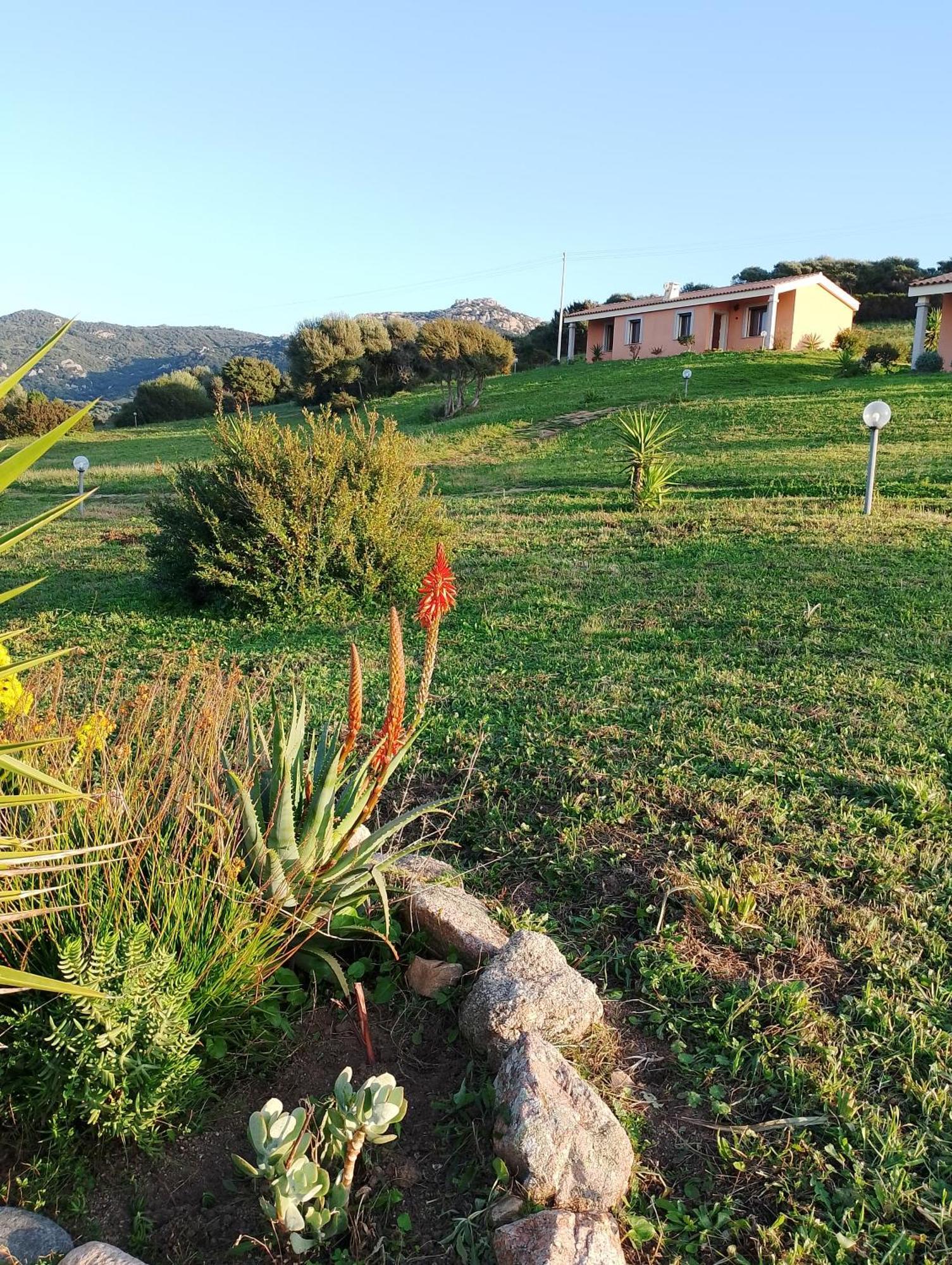 Agriturismo Gli Olivastri -Appartamento Bel Vedere Con Piscina ,Solarium E Vista Mare,Climatizzatore ,Wifi Aglientu Zewnętrze zdjęcie